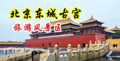 熟女9l黄色短视频中国北京-东城古宫旅游风景区